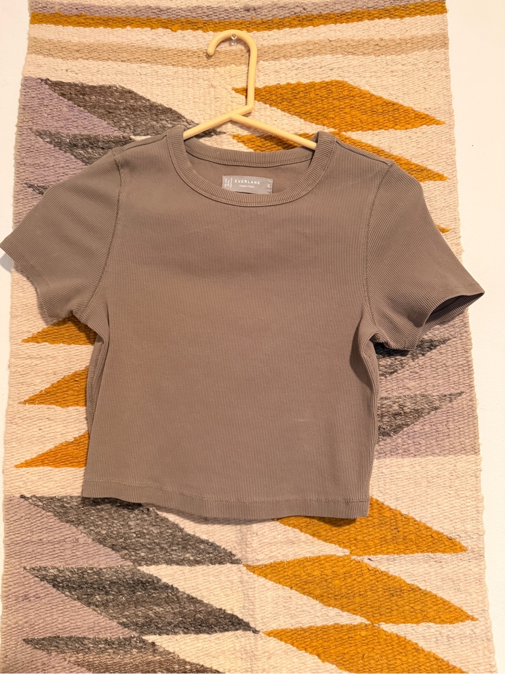 Everlane Cropped Rib Tee in Taupe